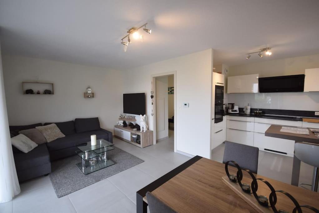 Appartement Selestat Ngoại thất bức ảnh